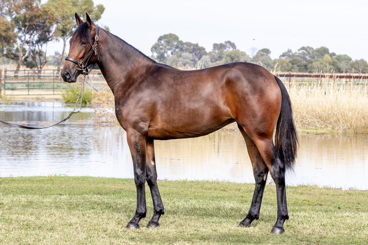 New additions to the stable