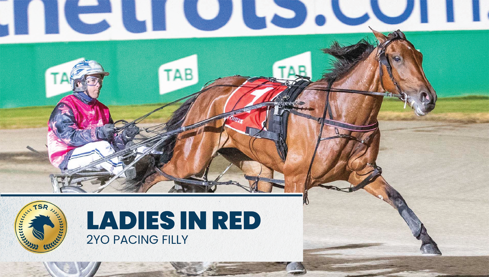 2019-20 Victorian Harness Racing Awards Night
