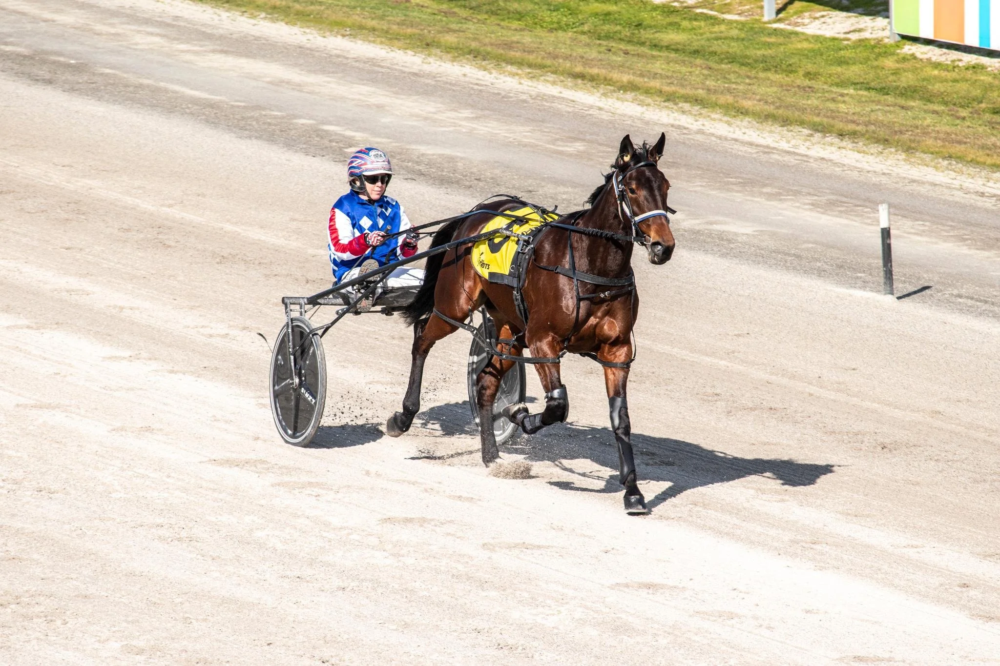 TSR Weekly Wrap | Sep 6 2021