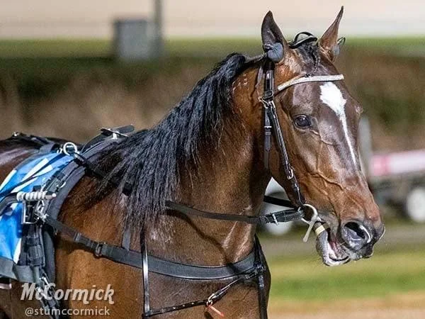 TSR Weekly Wrap | 13 Sep 2021