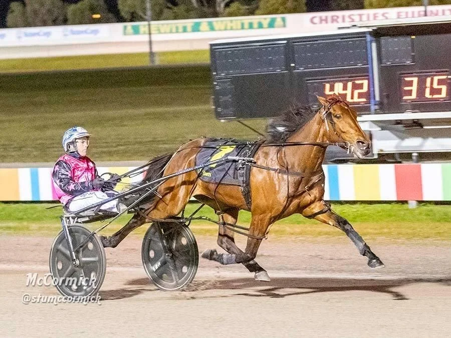 TSR Weekly Wrap | 20 Sep 2021