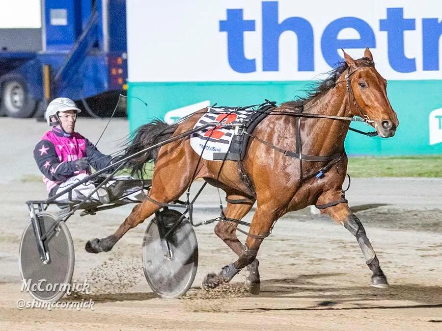 TSR WEEKLY WRAP | 1 NOV 202