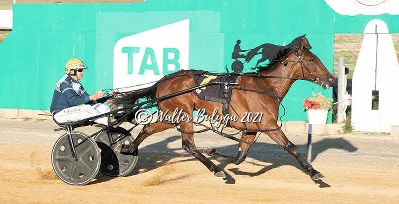 TSR Weekly Wrap | 29 Nov 2021