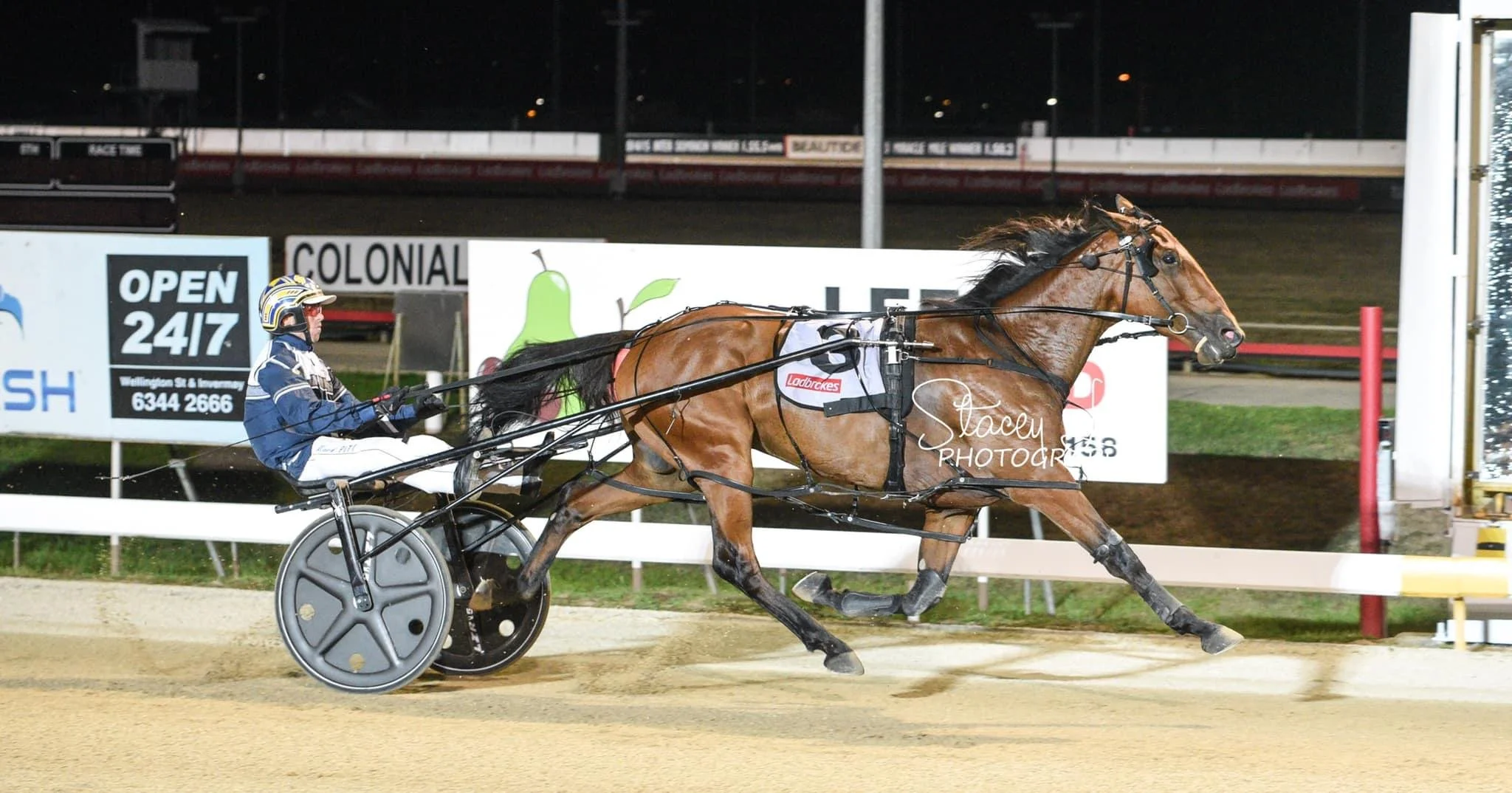TSR Weekly Wrap | 11 April 2022