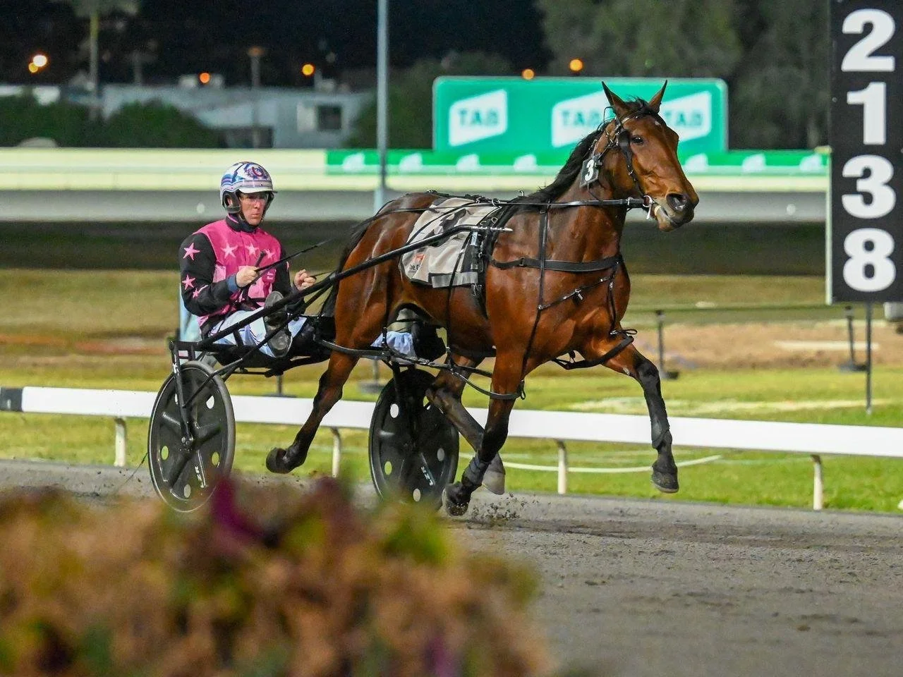 TSR Weekly Wrap | 11 July 2022