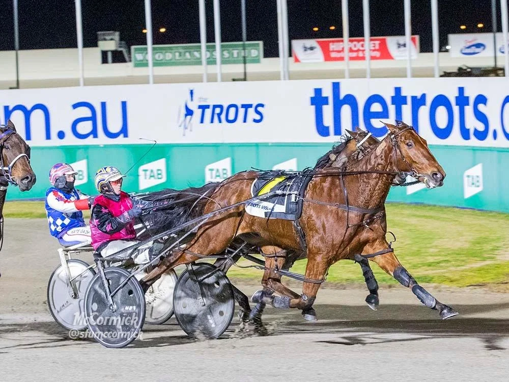 TSR Weekly Wrap | 16 Aug 2022