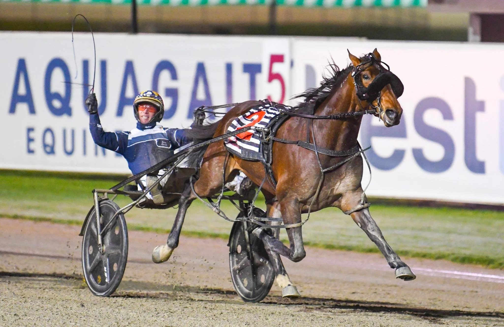 TSR Weekly Wrap | 29 Aug 2022