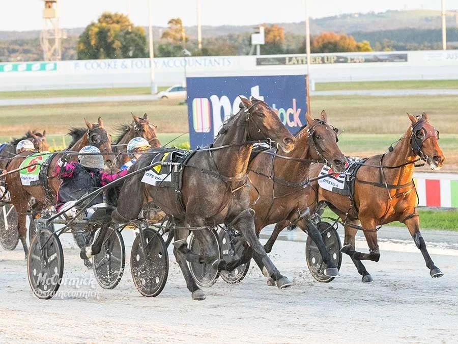 TSR Weekly Wrap | 29 Nov 2022