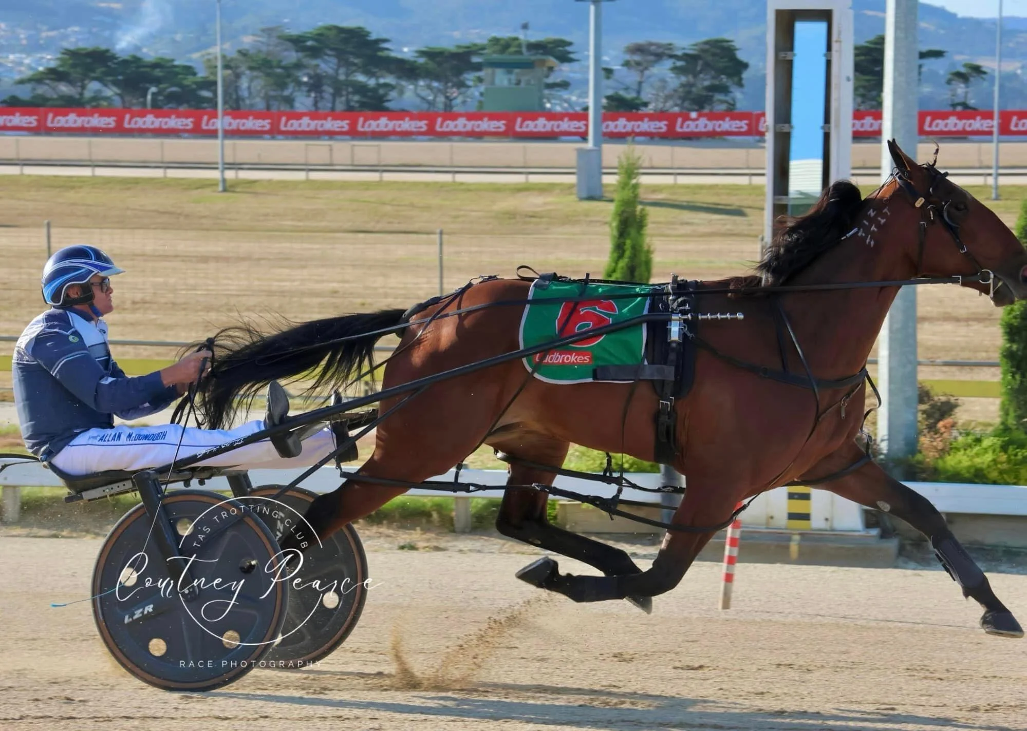 TSR Weekly Wrap | 16 Jan 2023