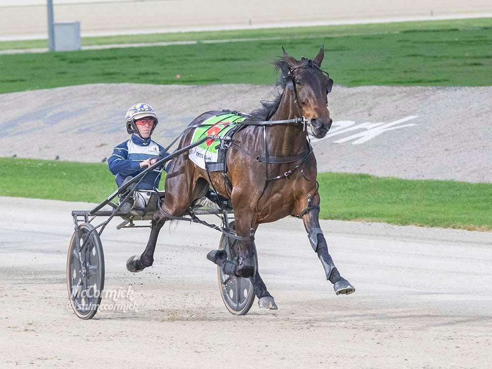 National Horse of the Year Honours for TSR