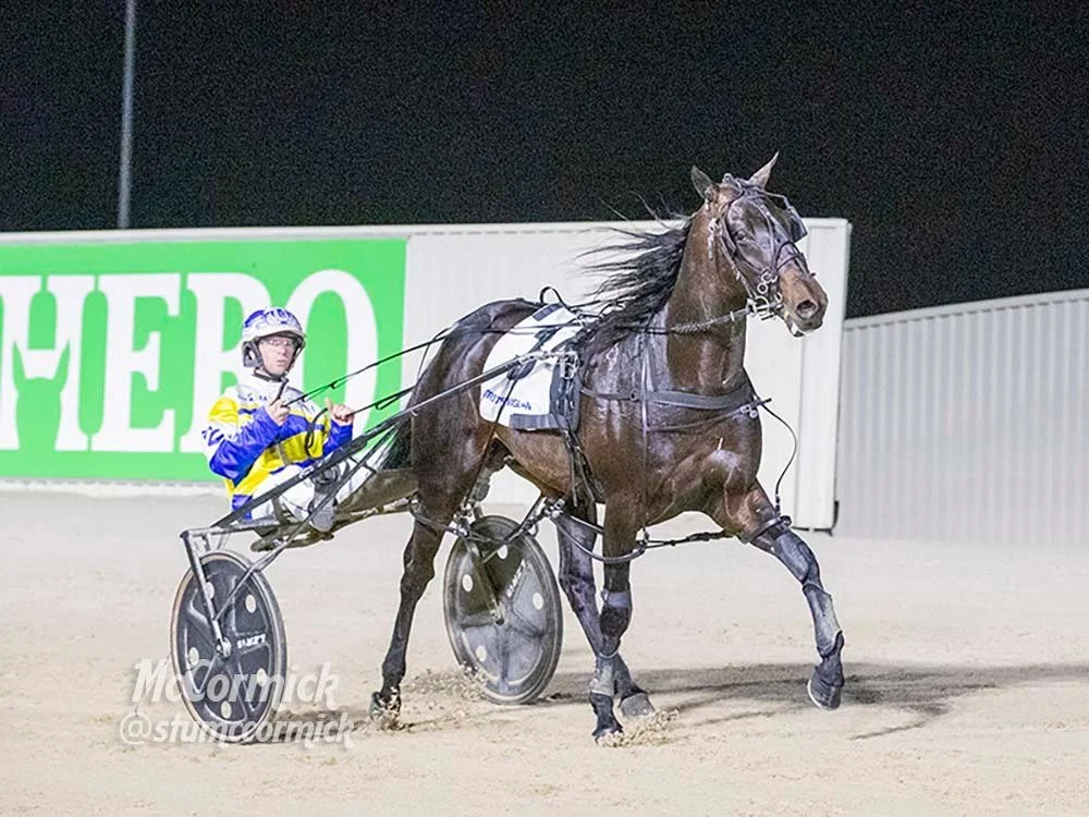 TSR Weekly Wrap | 6 Nov 2025