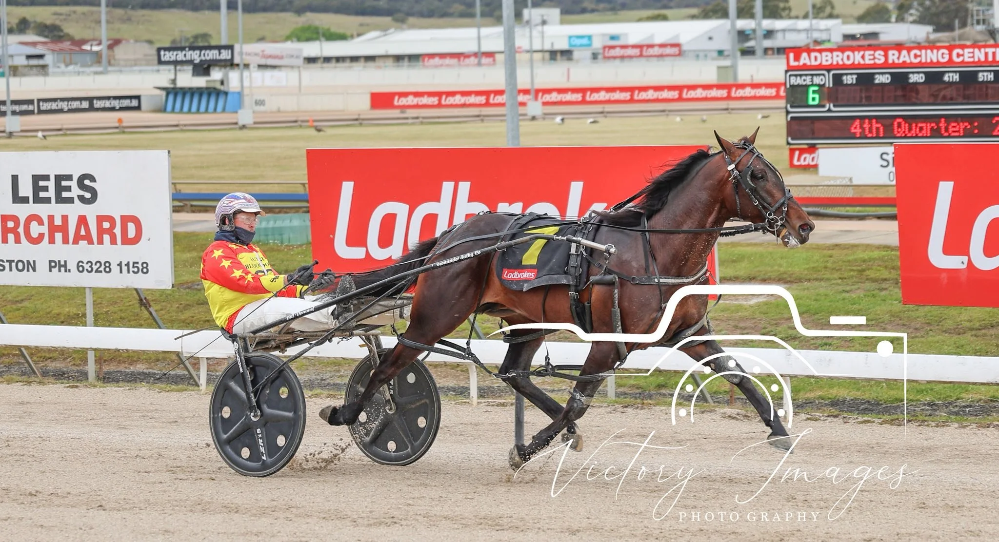 TSR Weekly Wrap | 19 Nov 2025