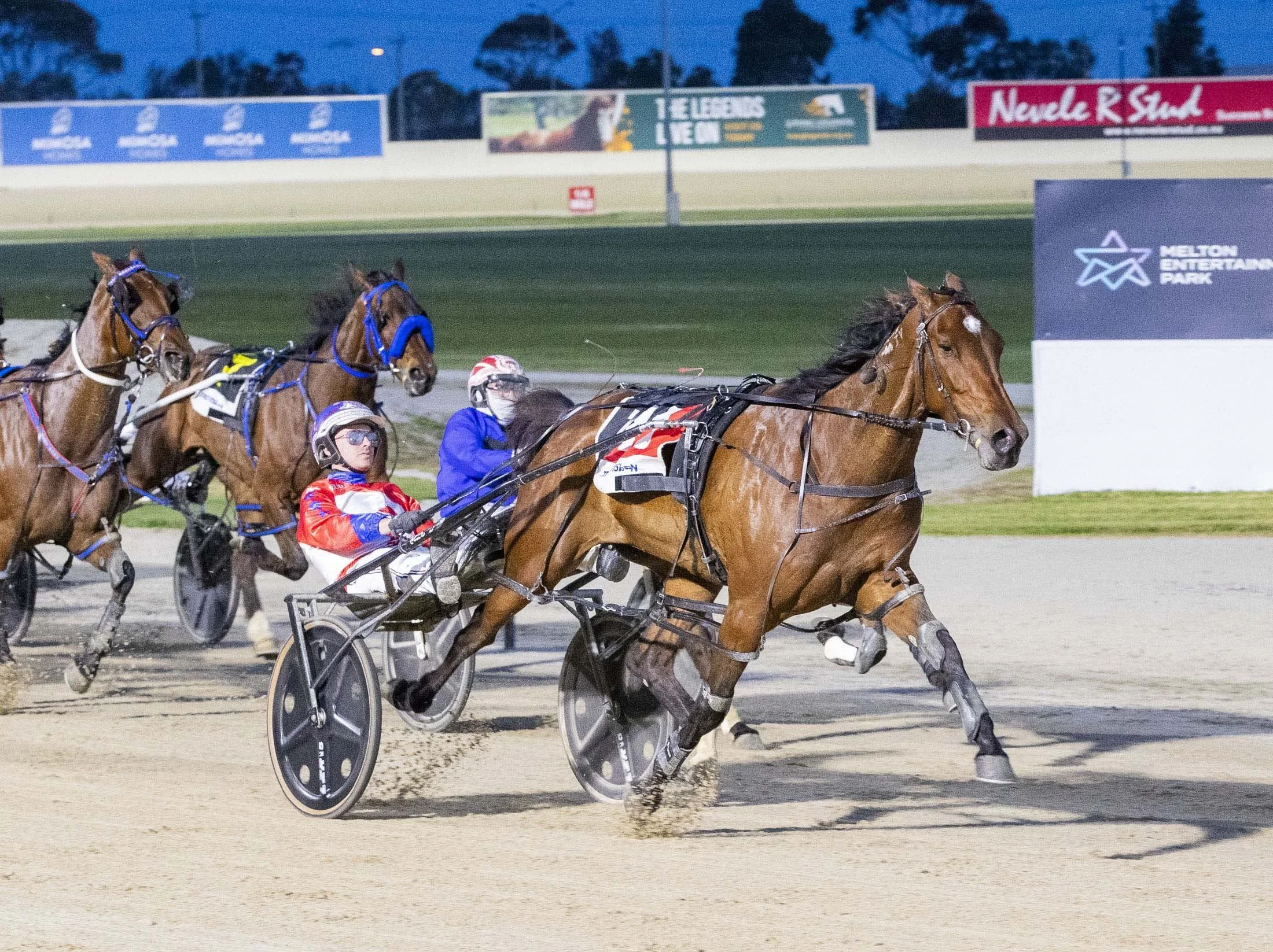TSR Weekly Wrap | 27 Nov 2025