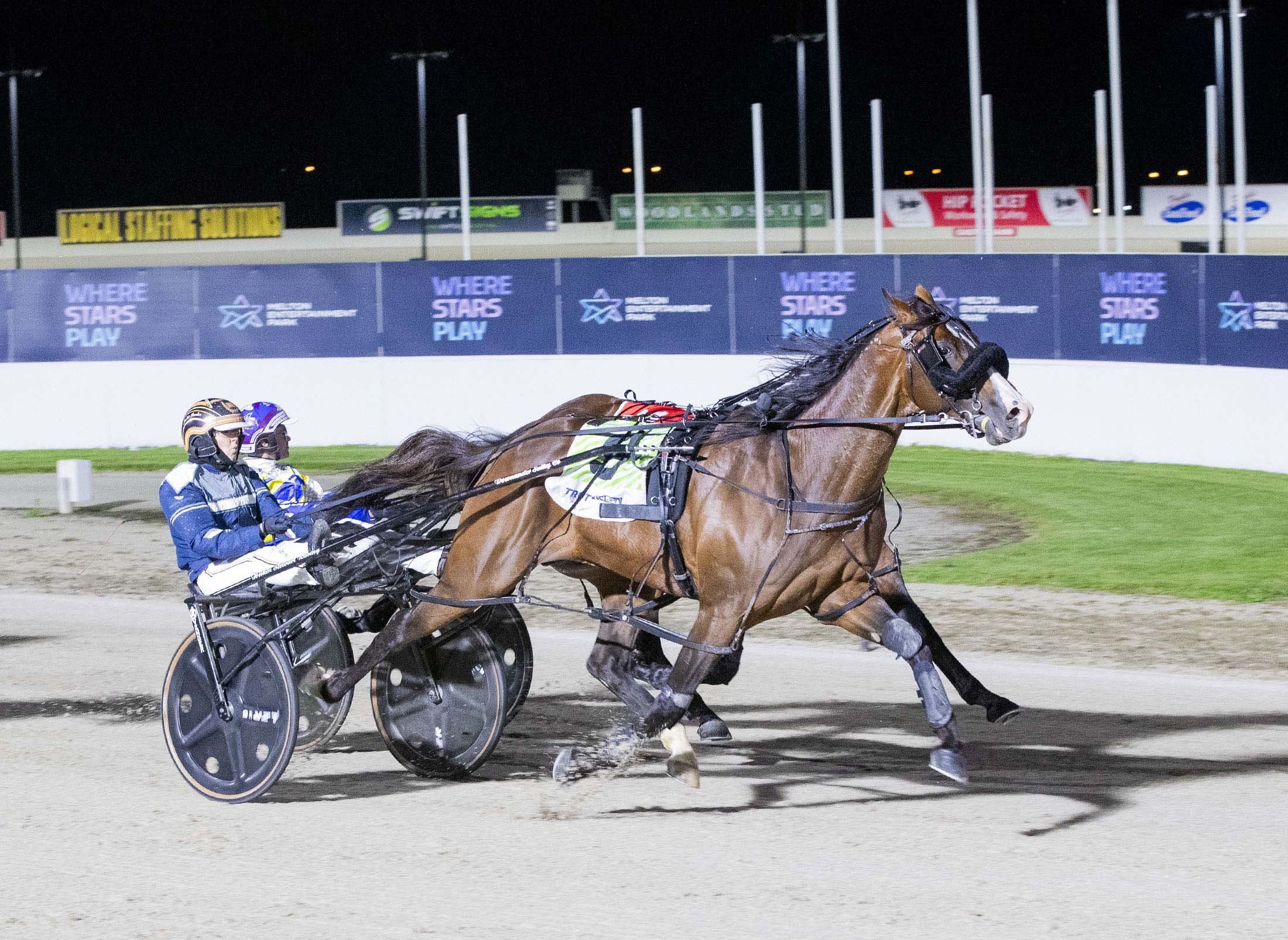 TSR Weekly Wrap | 4 Dec 2025