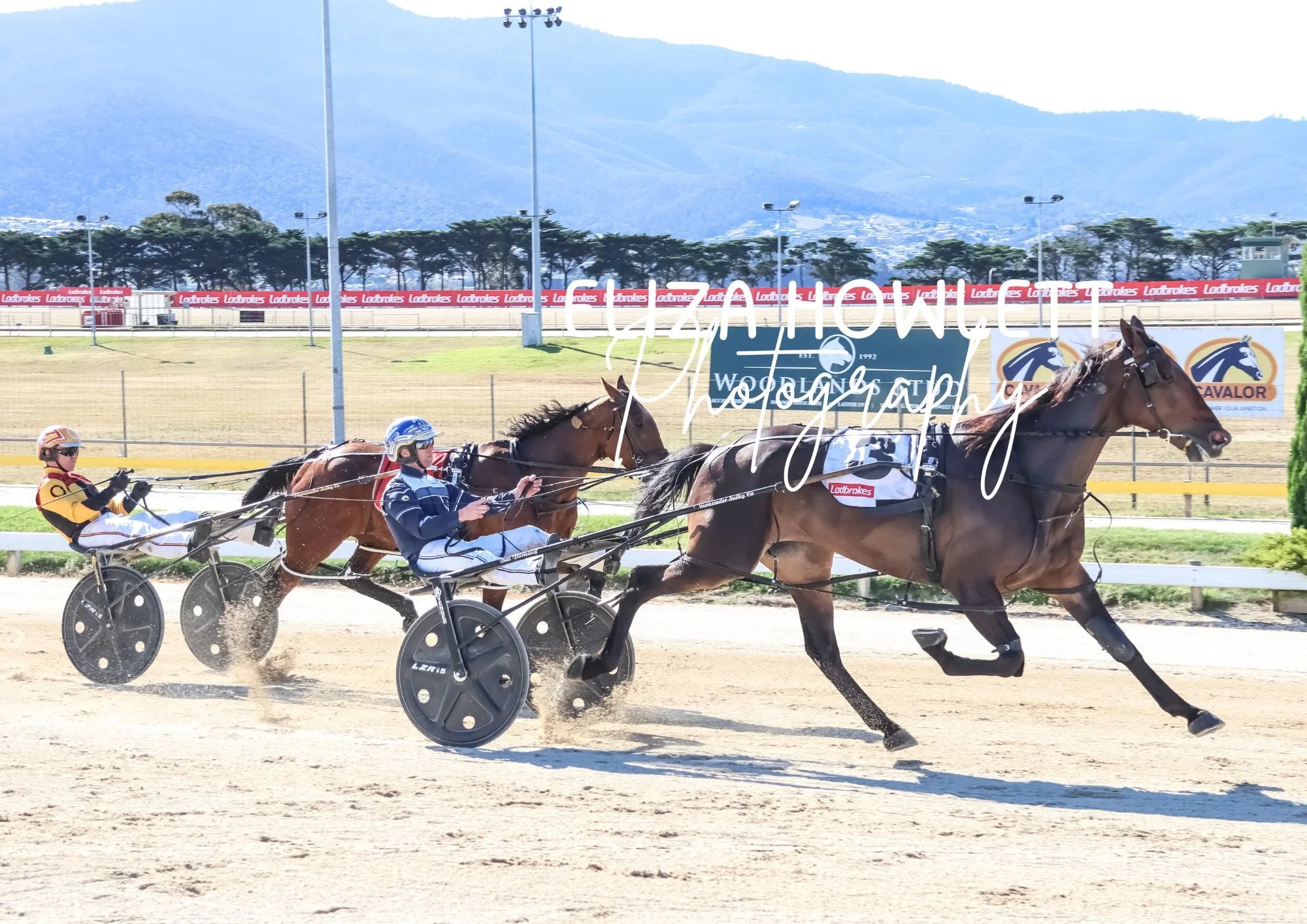 TSR Weekly Wrap | 15 Jan 2025