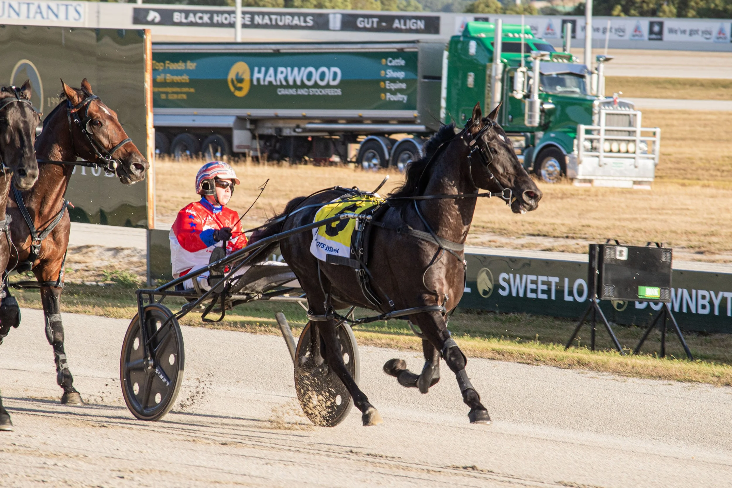 TSR Weekly WRap | 28 Jan 2026