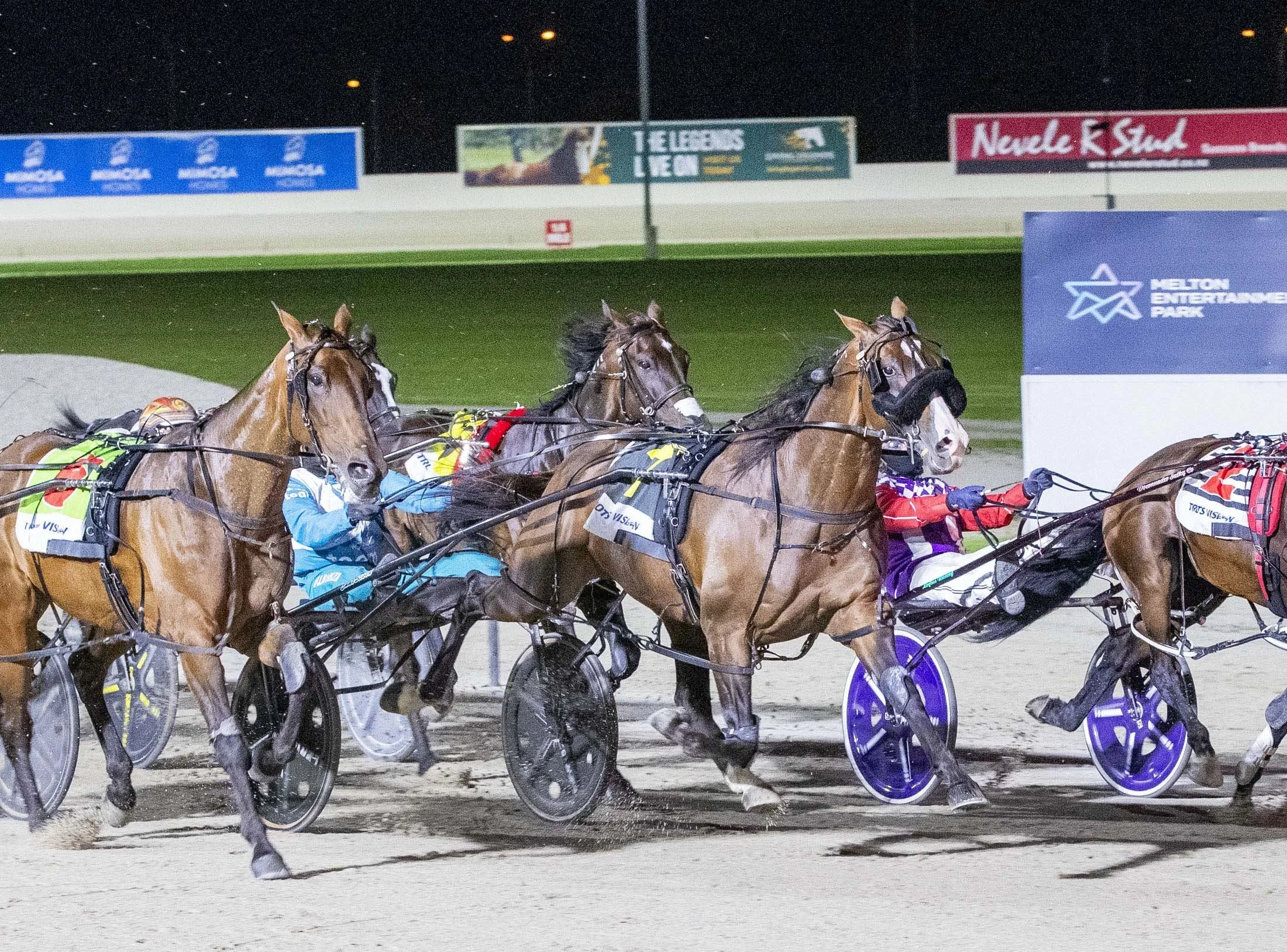 TSR Weekly Wrap | 11 Mar 2026