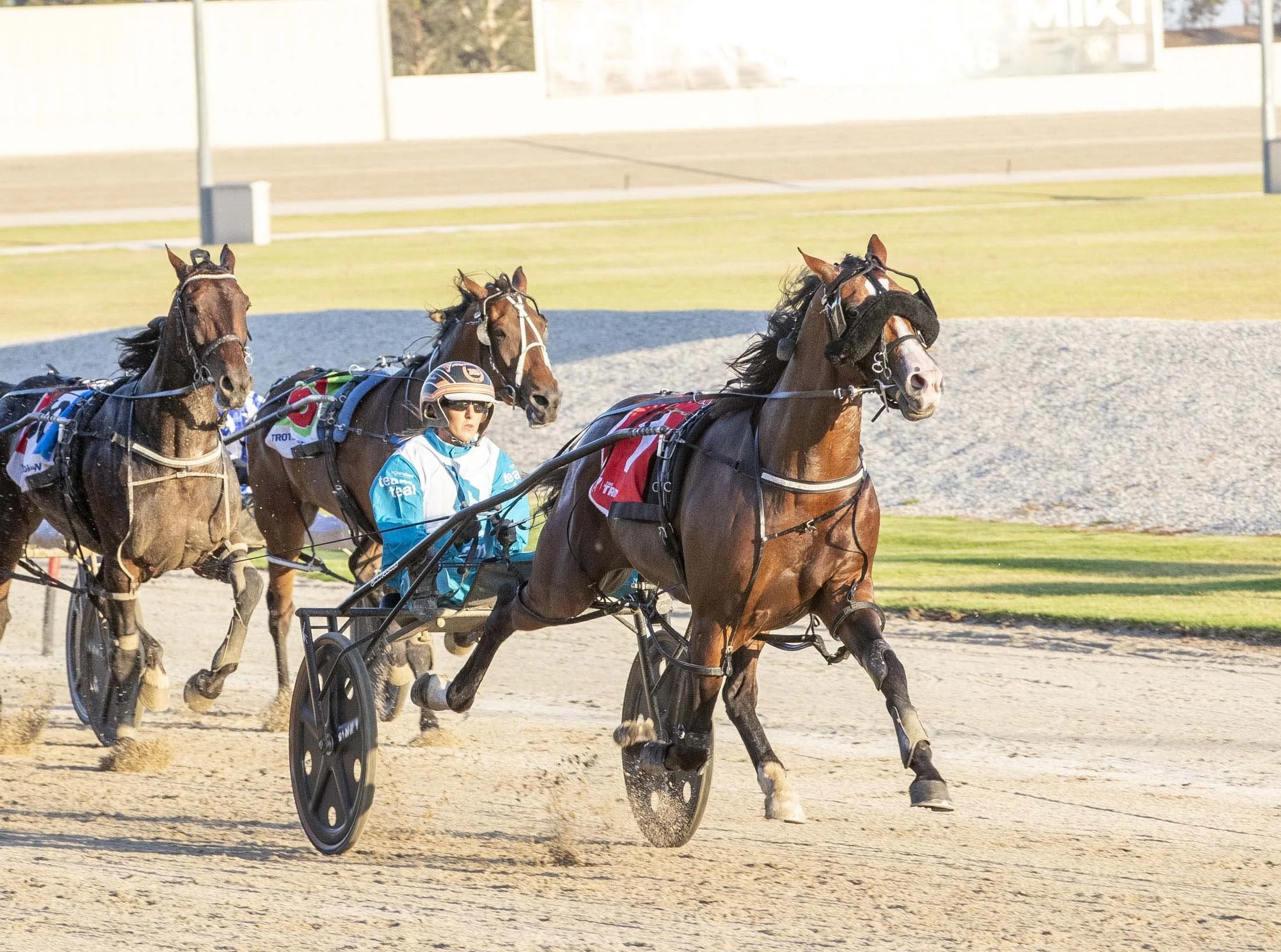 TSR Weekly Wrap | 20 Mar 2026