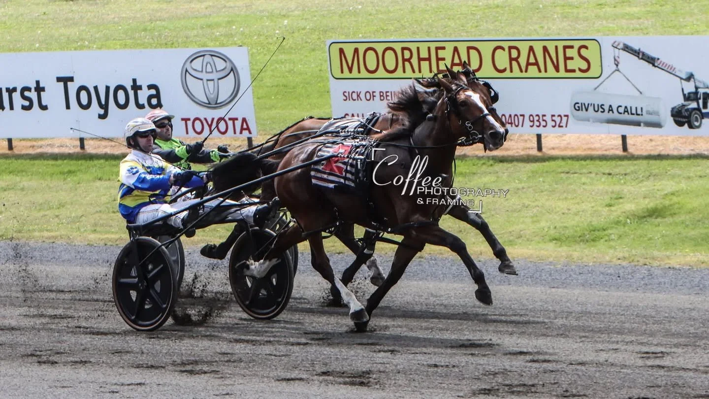 TSR Weekly Wrap | 26 Mar 2026