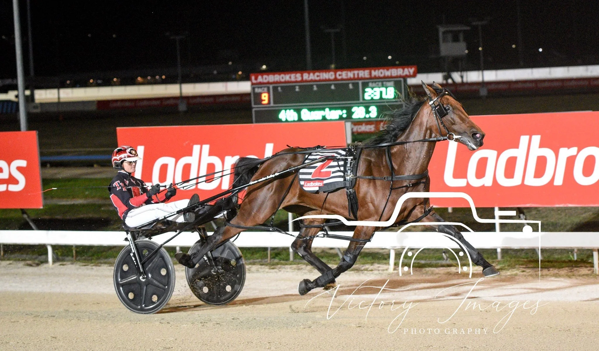 TSR WEEKLY WRAP | 8 APRIL 2026