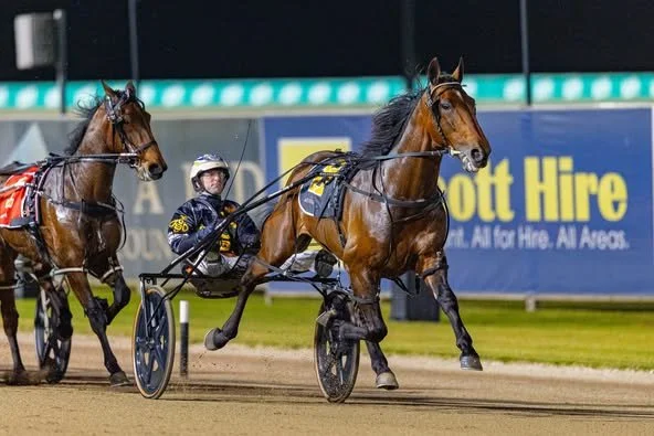 TSR Weekly Wrap | 14 May 2026