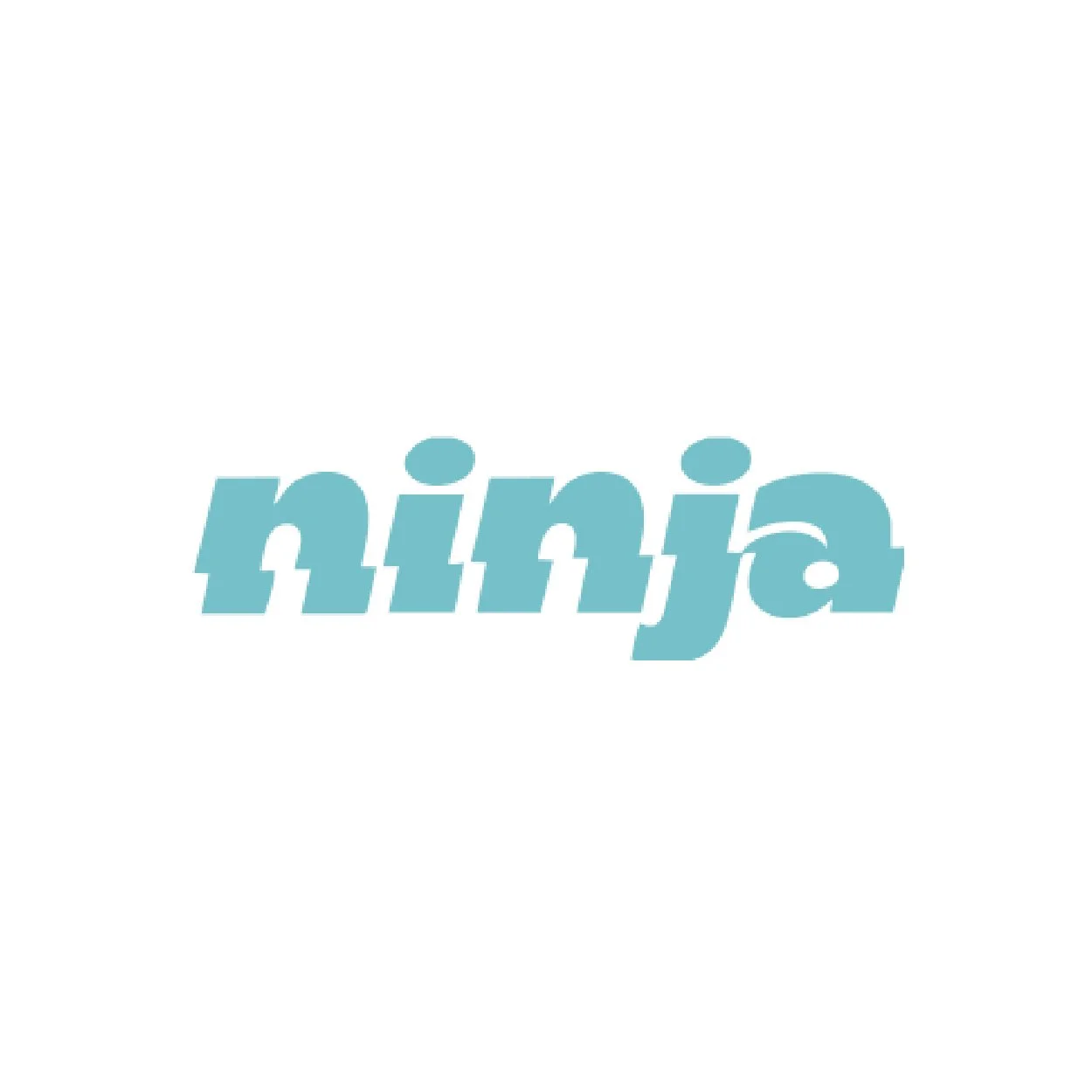 The word 'ninja' in lowercase, light blue, bold, with a slightly decorative font, on a white background.