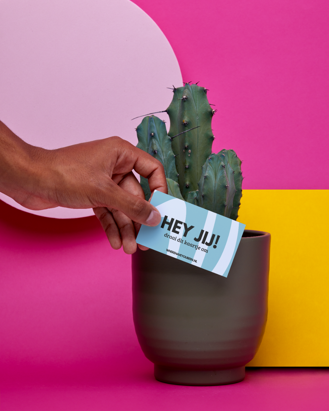 8.png