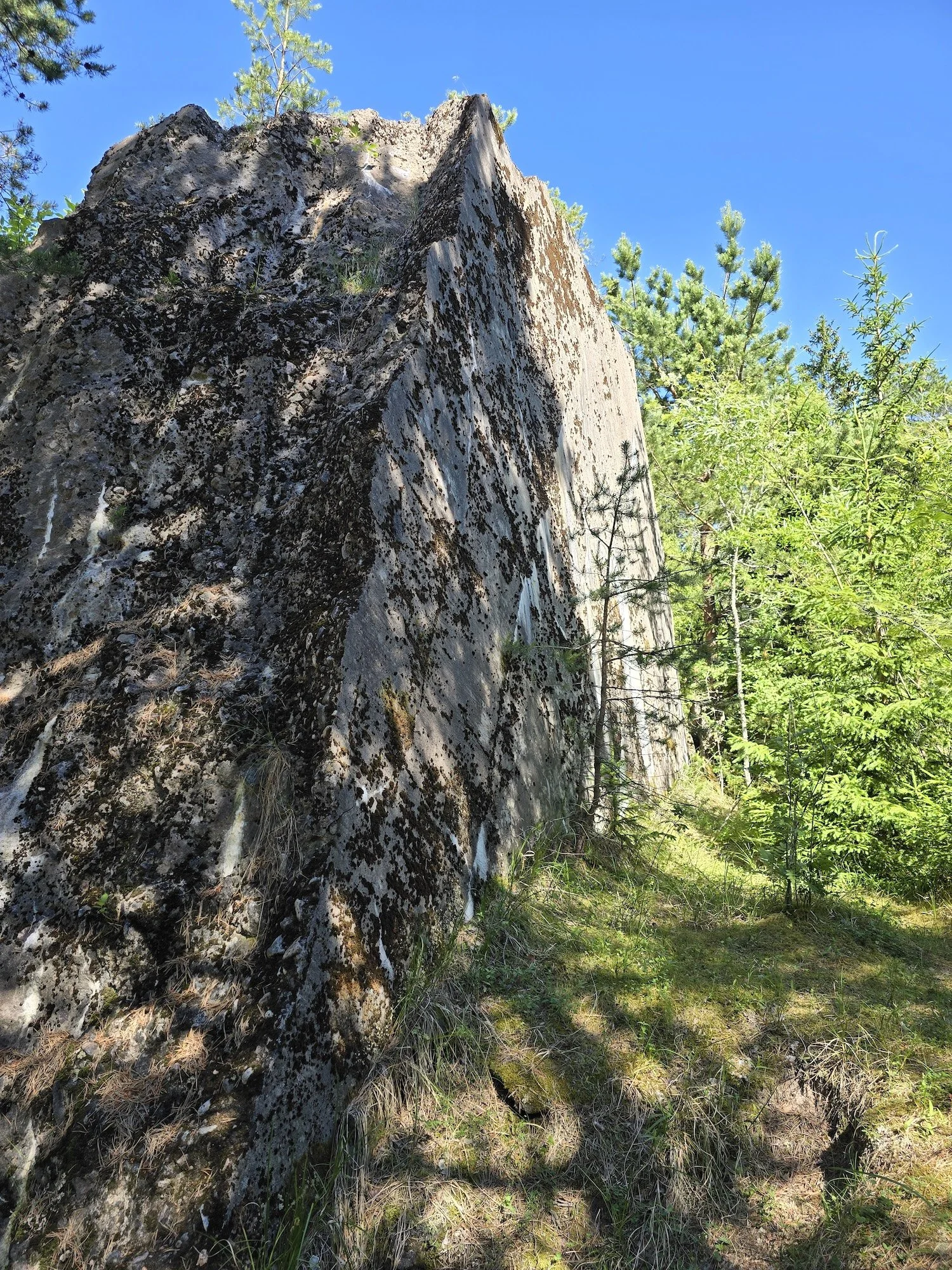 20240623_111916.jpg