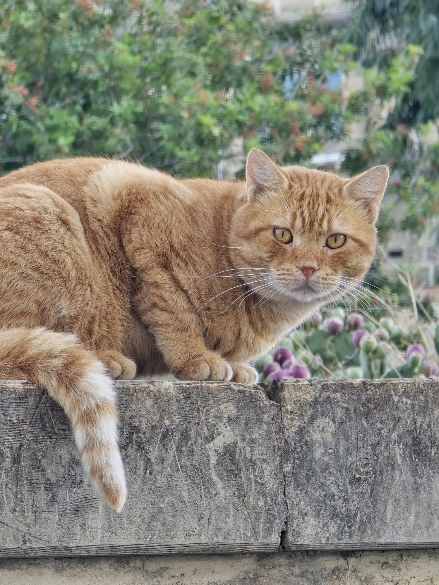 20251122_155150.jpg