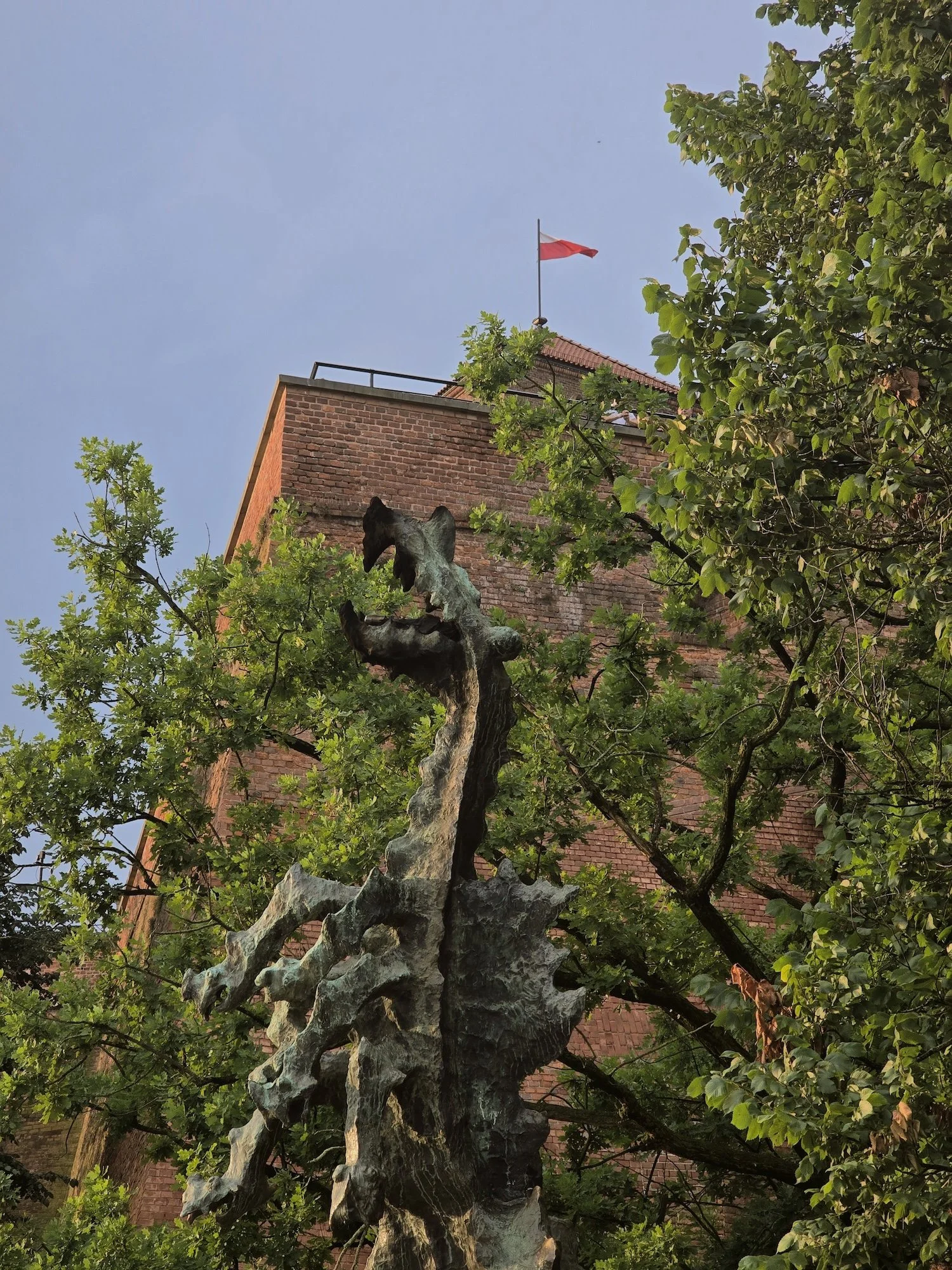20260621_192955.jpg