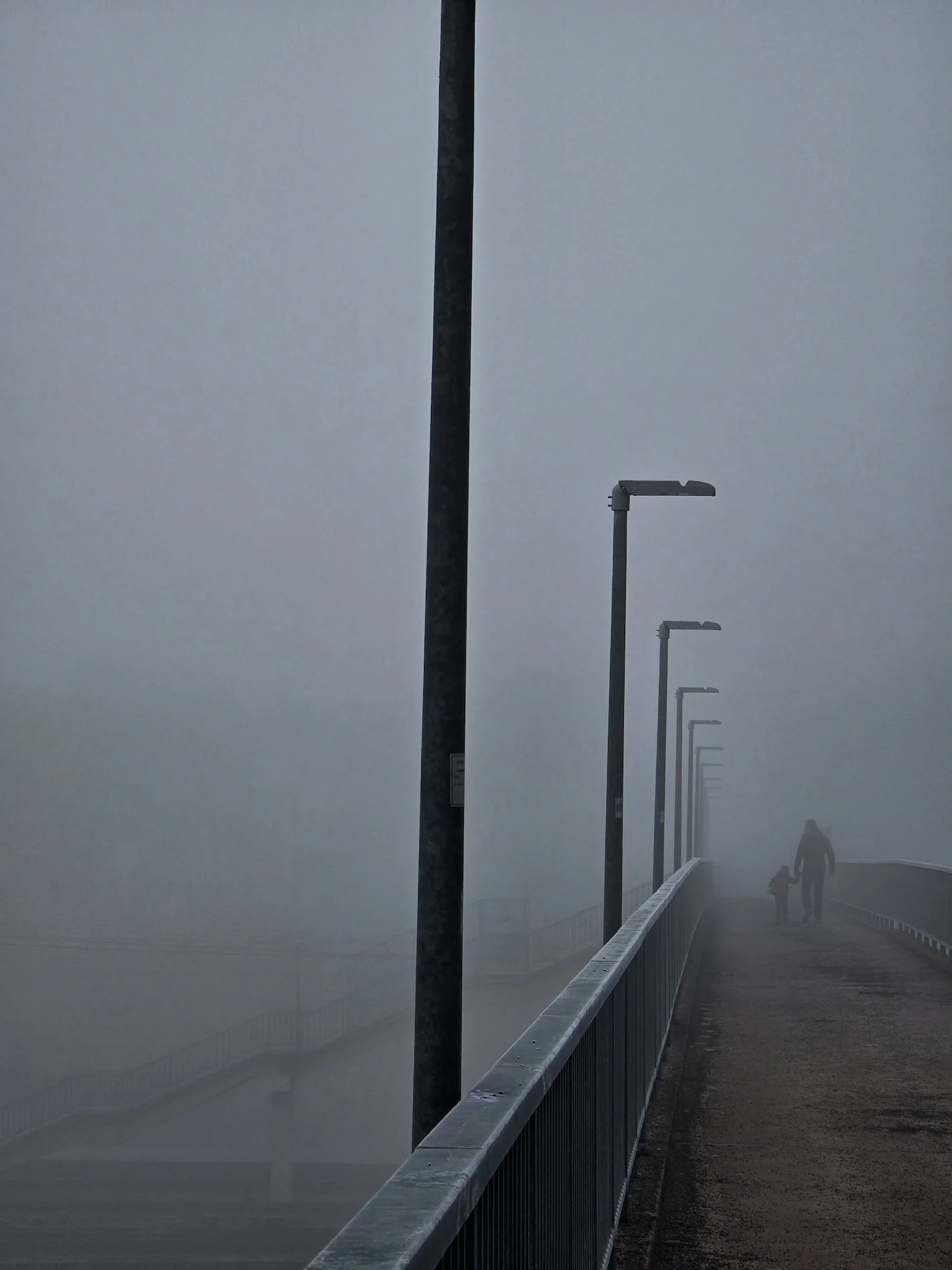 20250320_081115.jpg