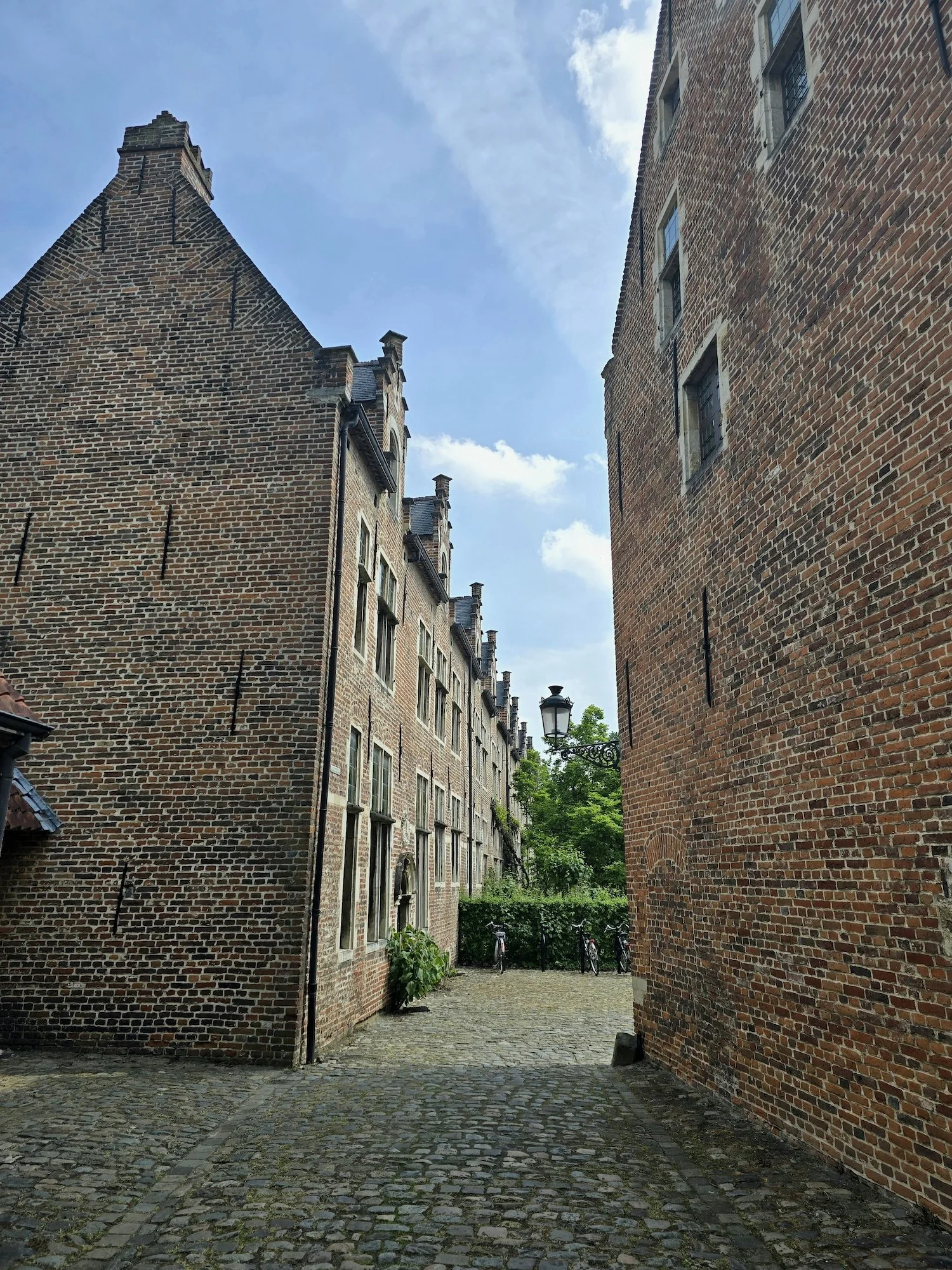 20240510_124544.jpg