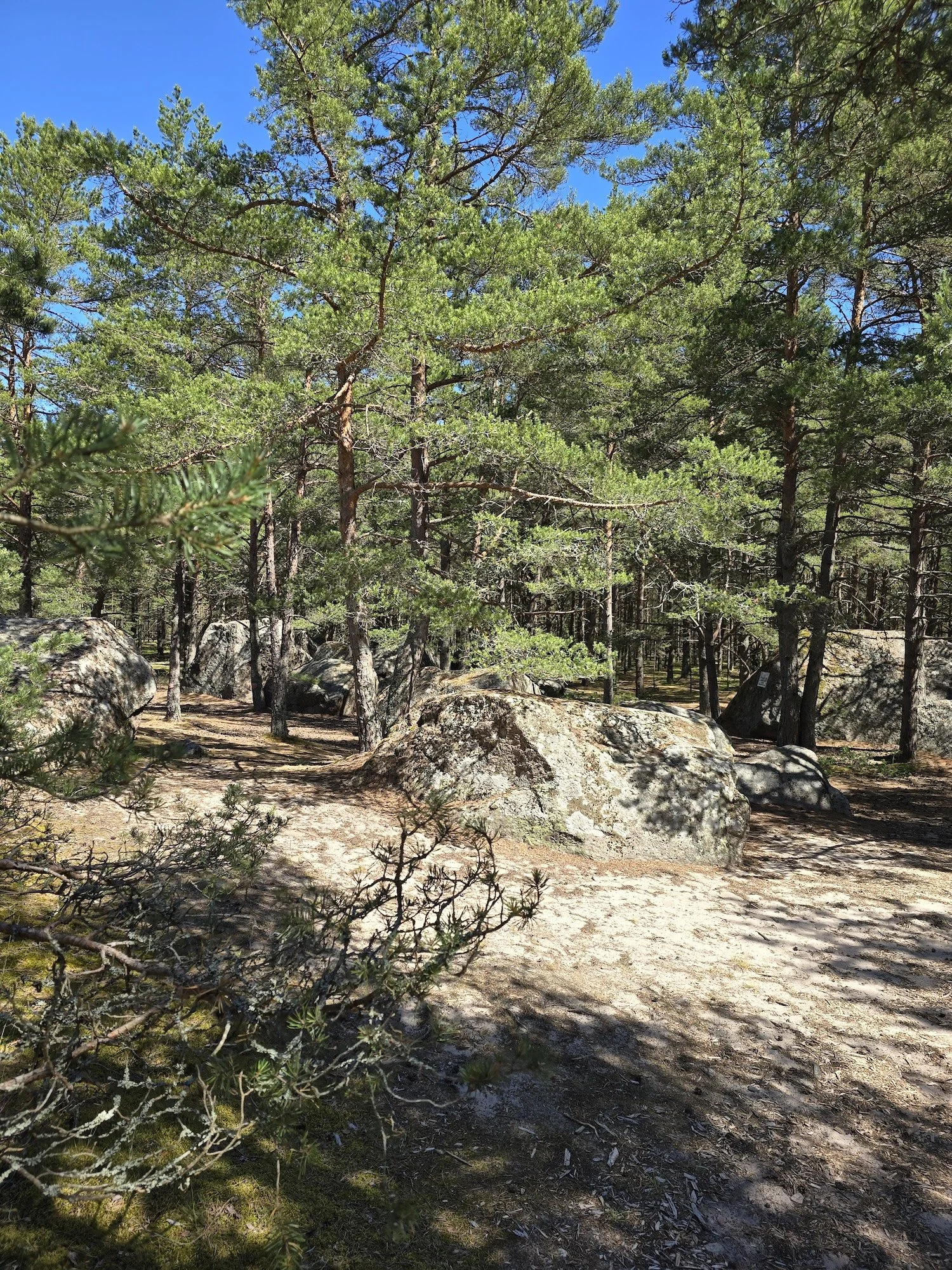 20240623_124755.jpg