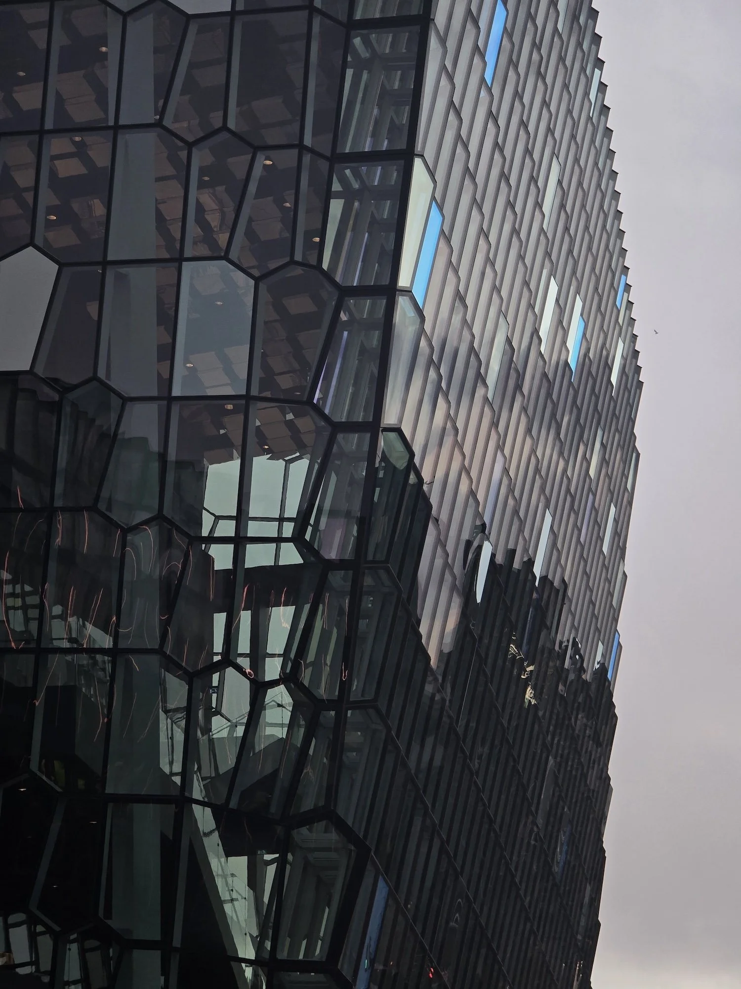 20260417_203906.jpg