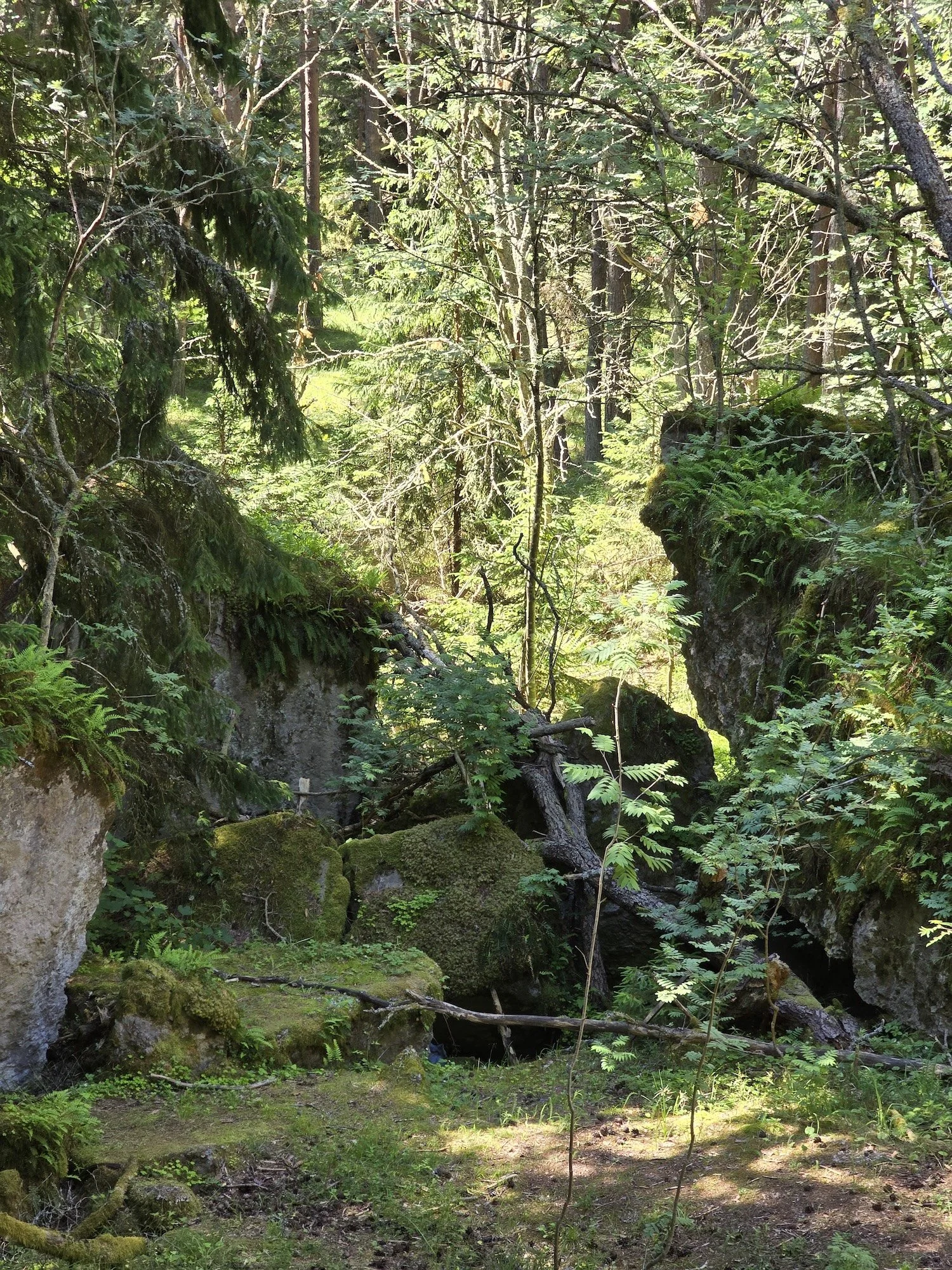 20240623_111415.jpg