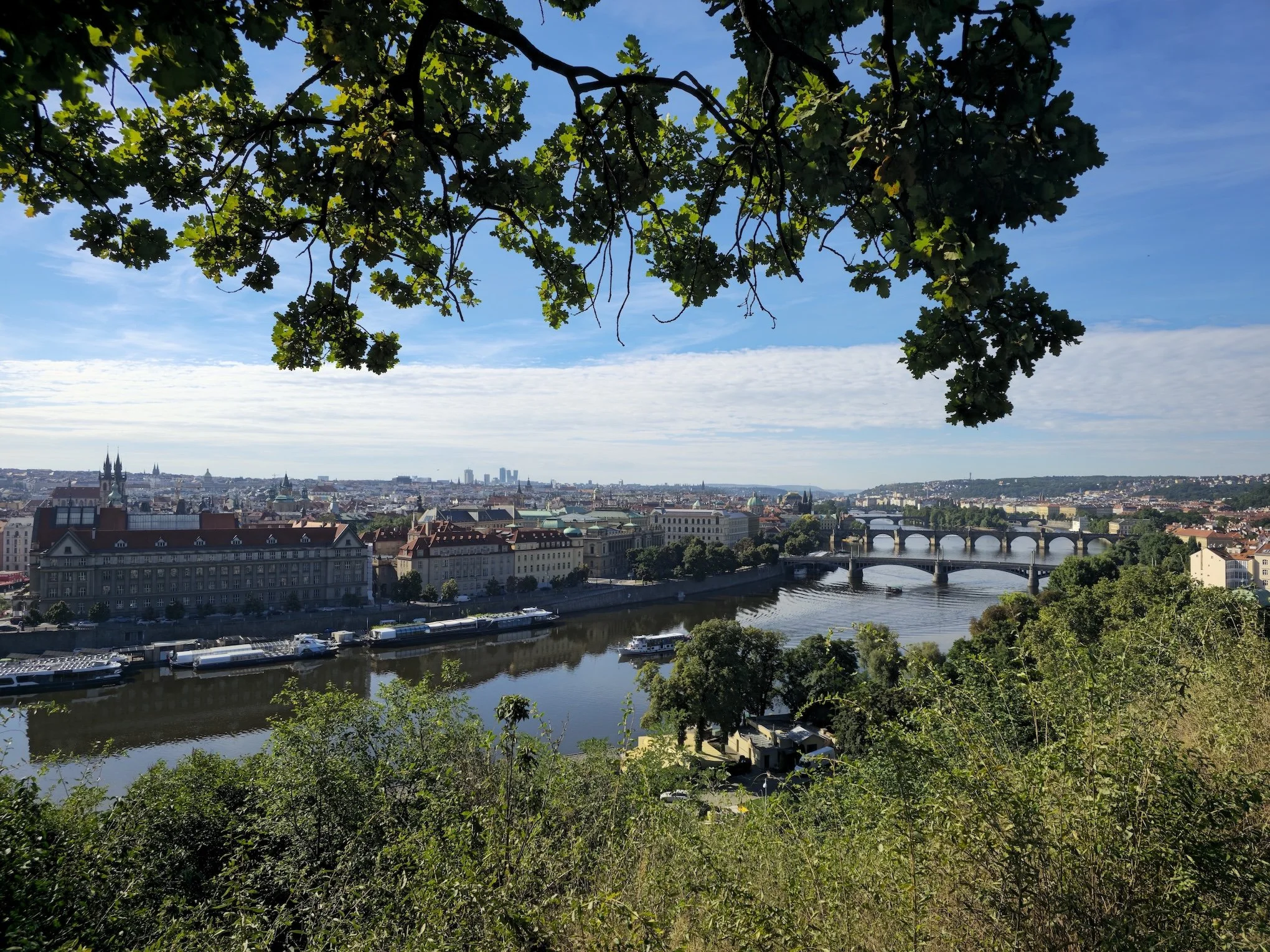 20250808_092009.jpg
