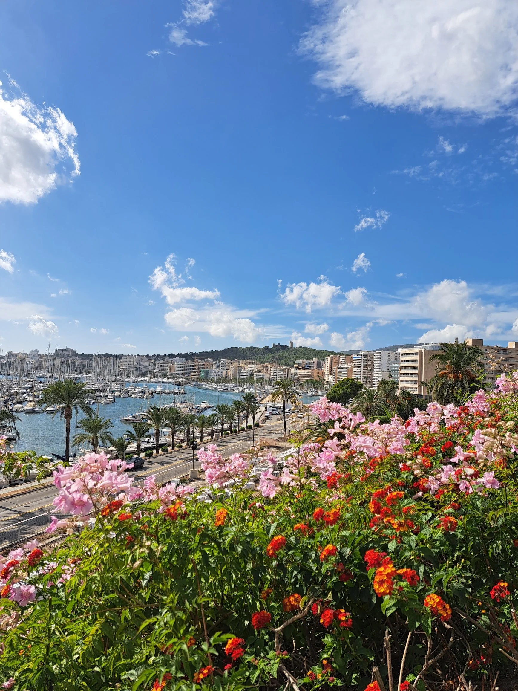 palma de mallorca, spain