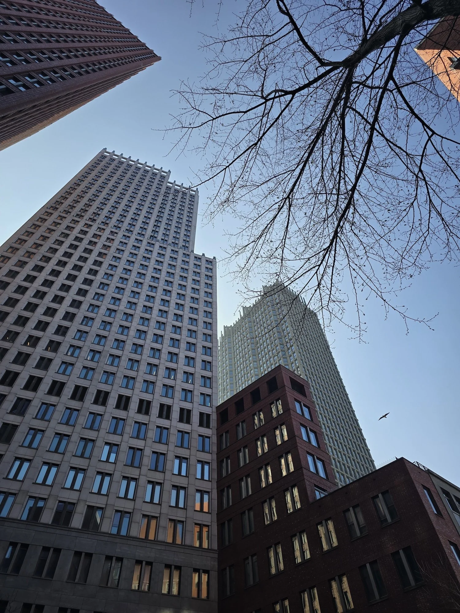 20260322_111655.jpg