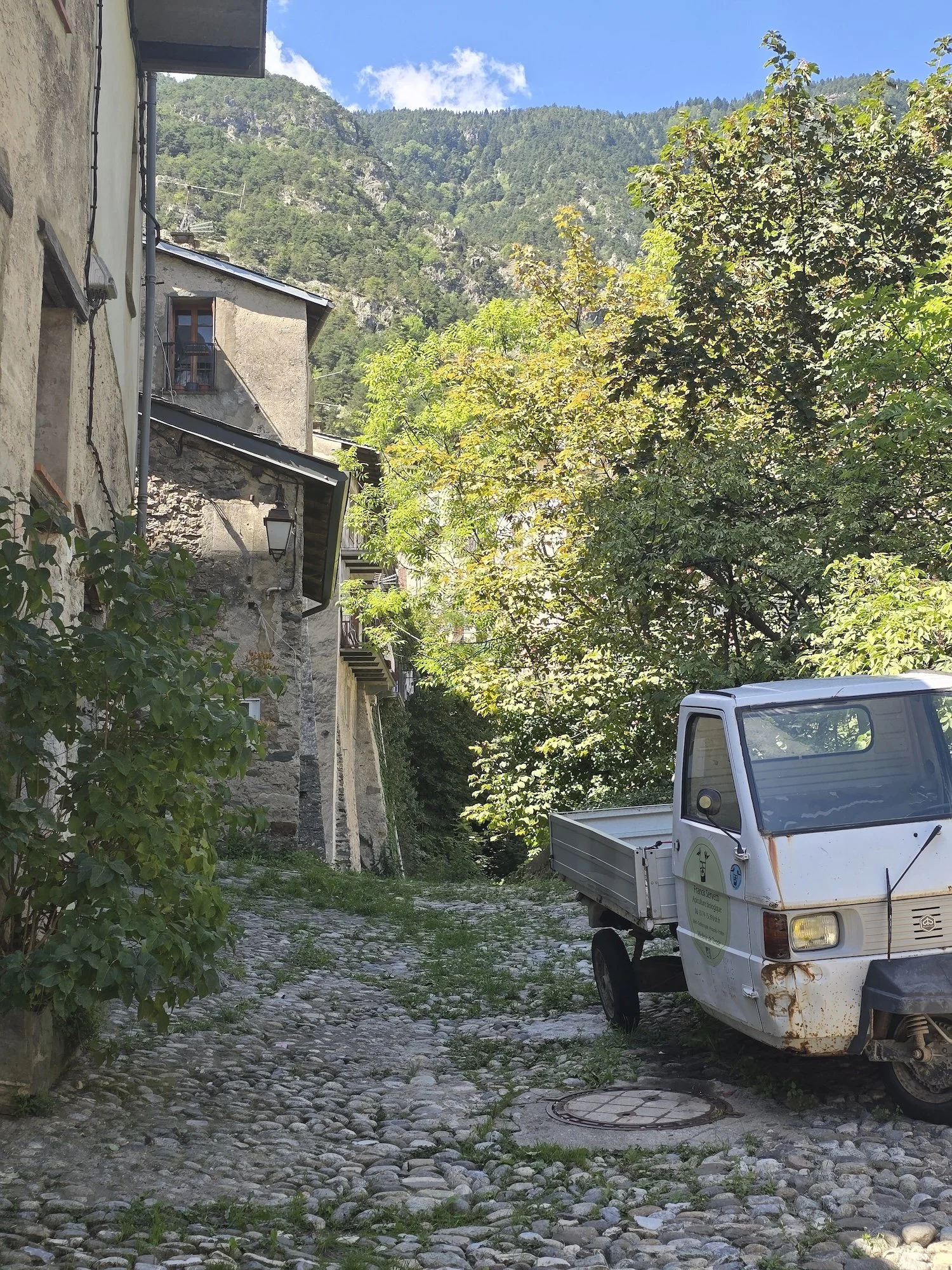 20260831_125455.jpg
