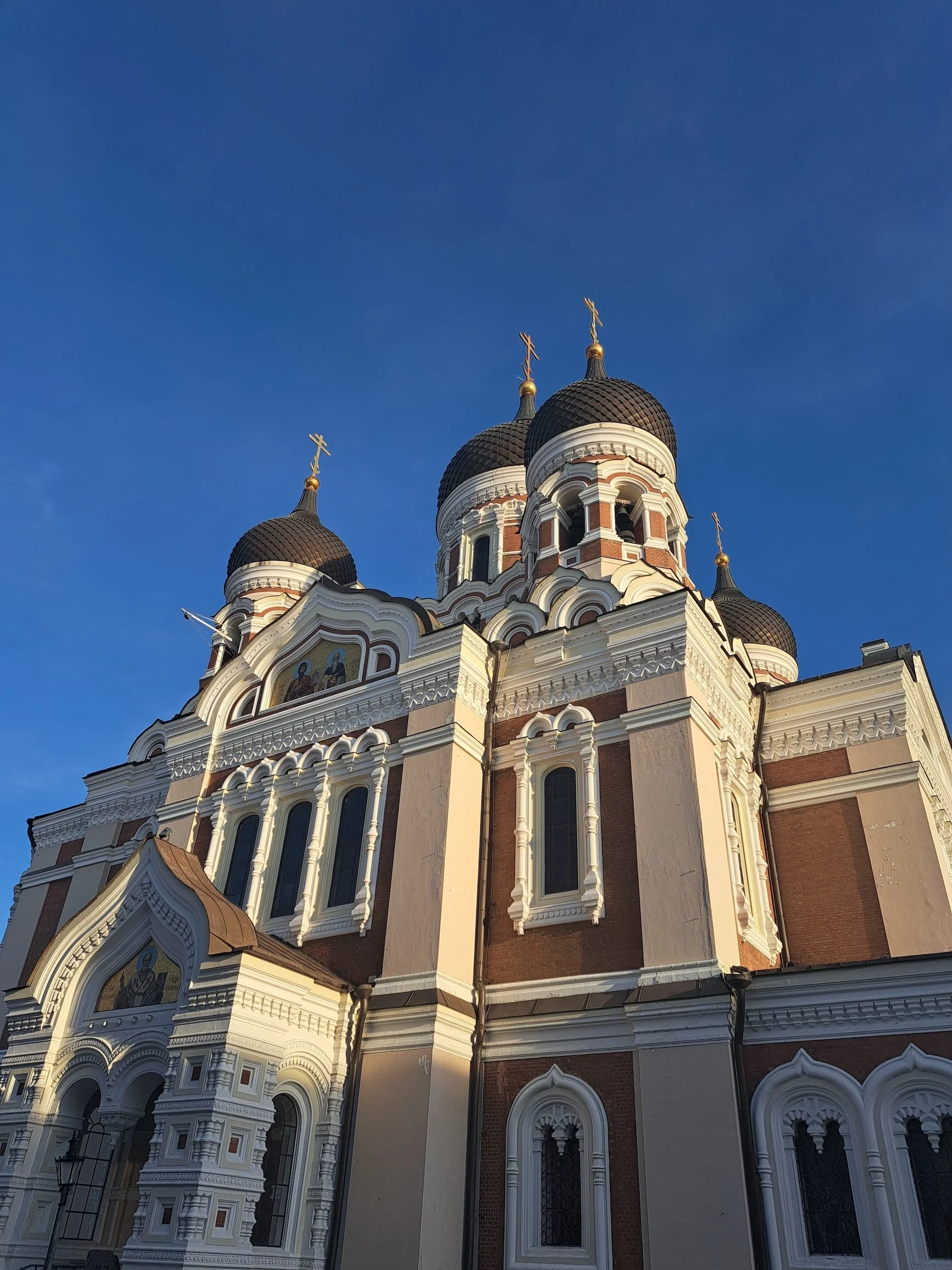 20230916_181149.jpg