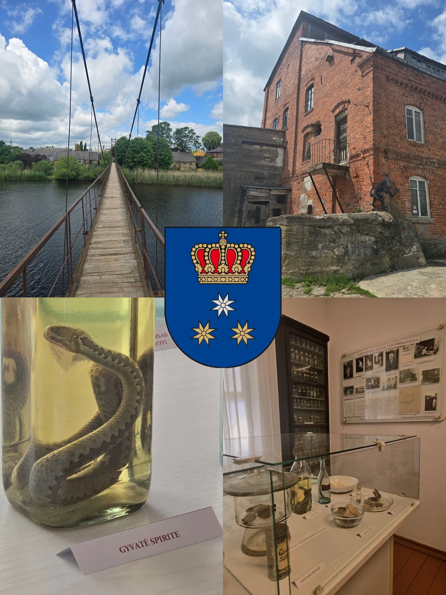 Viekšniai