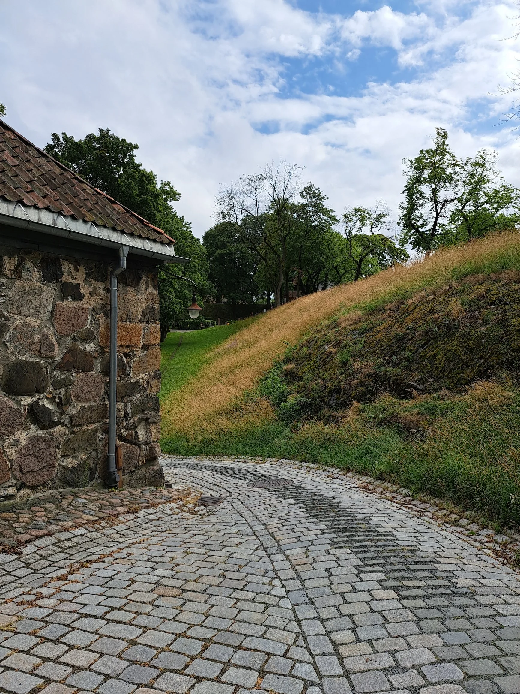 20230716_165130.jpg
