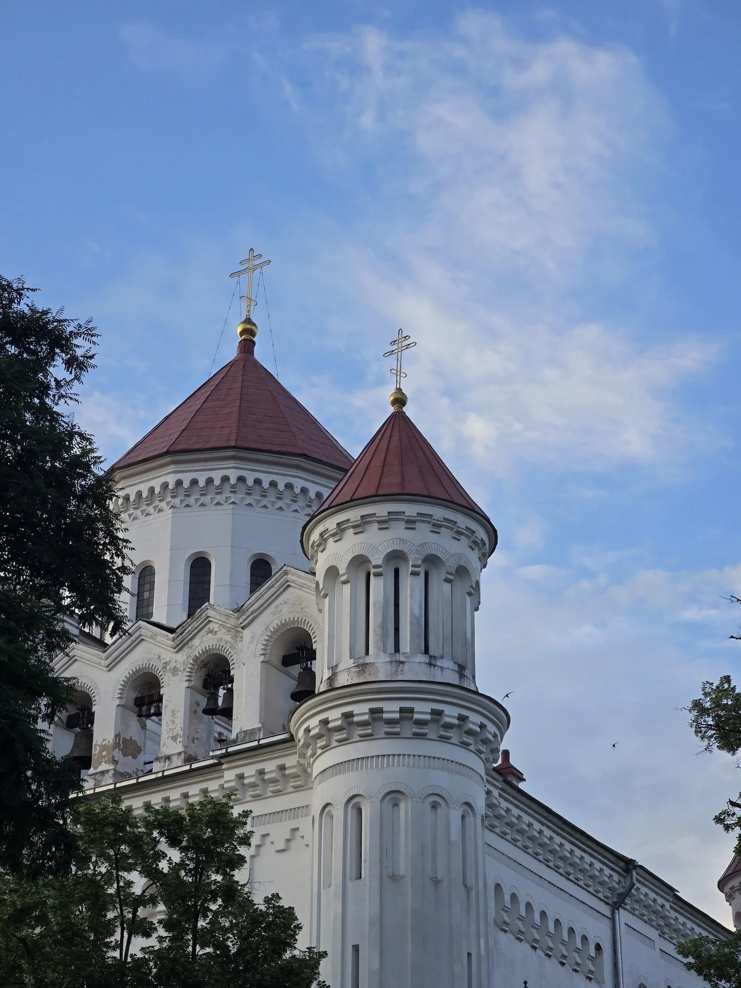 20250714_202956.jpg