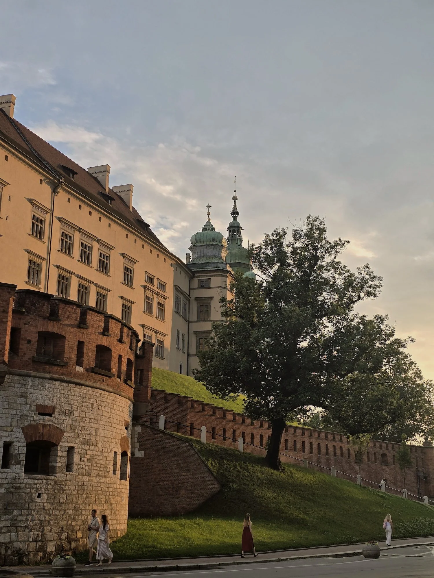 20260621_194537.jpg