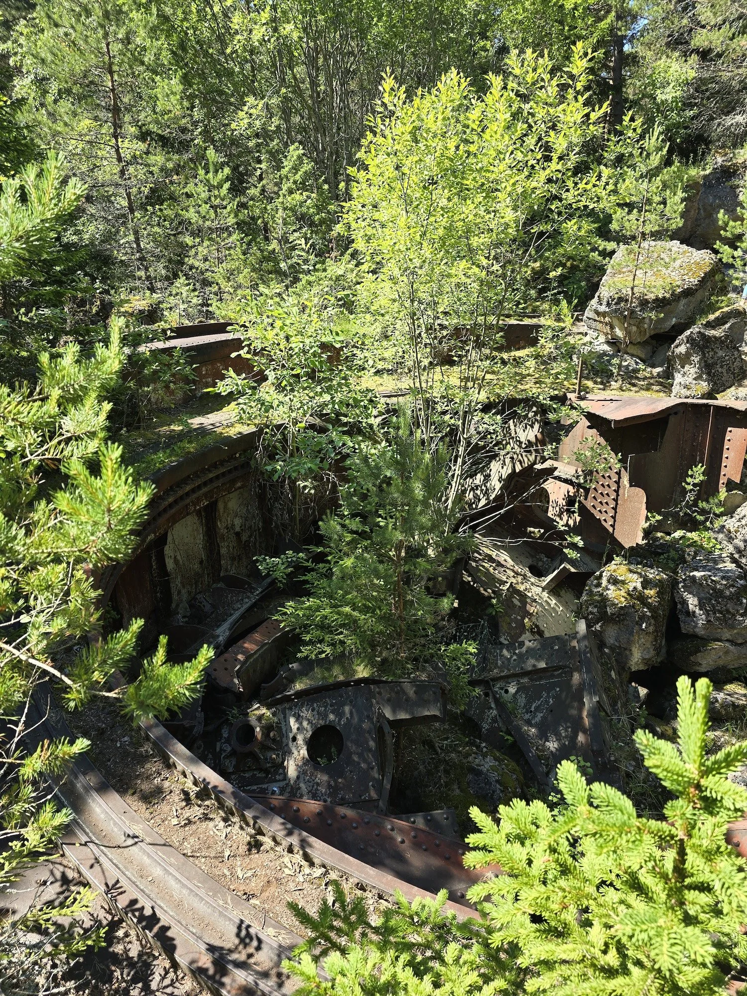 20240623_112129.jpg