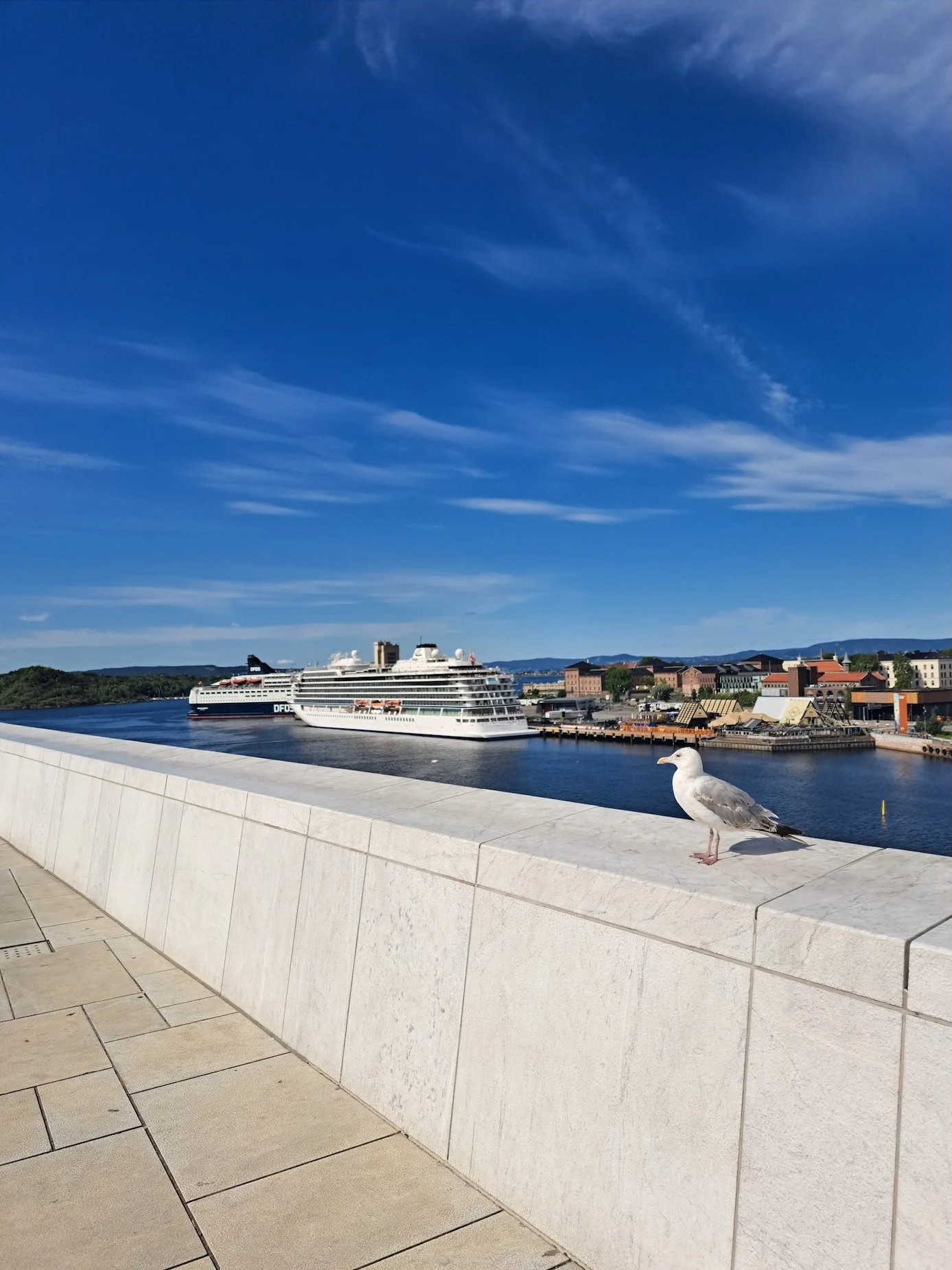 20230714_102408.jpg