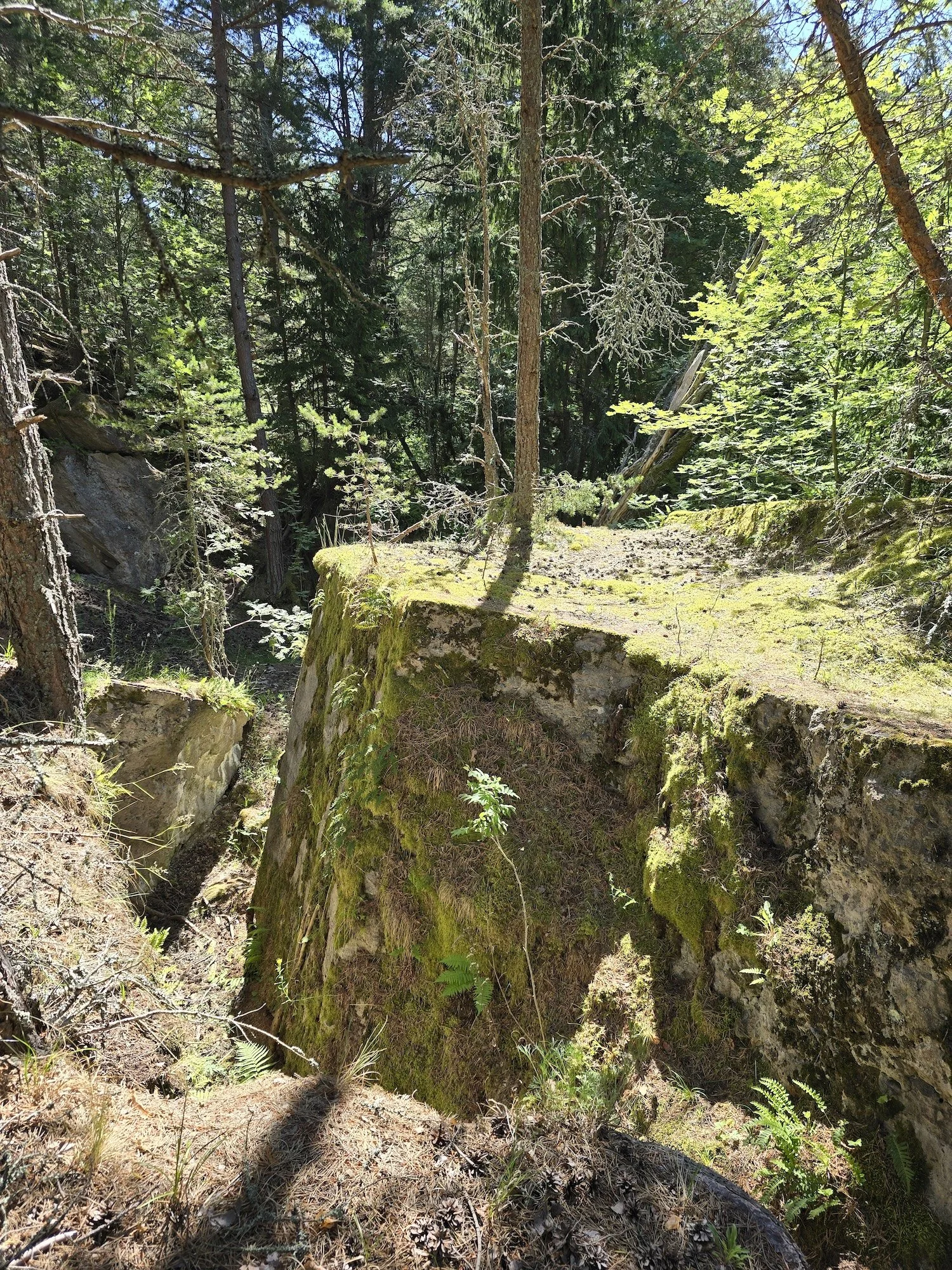20240623_110720.jpg