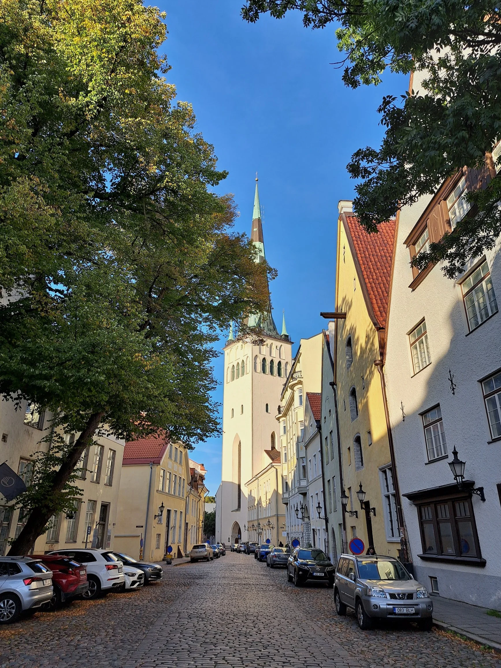 20230916_174027.jpg