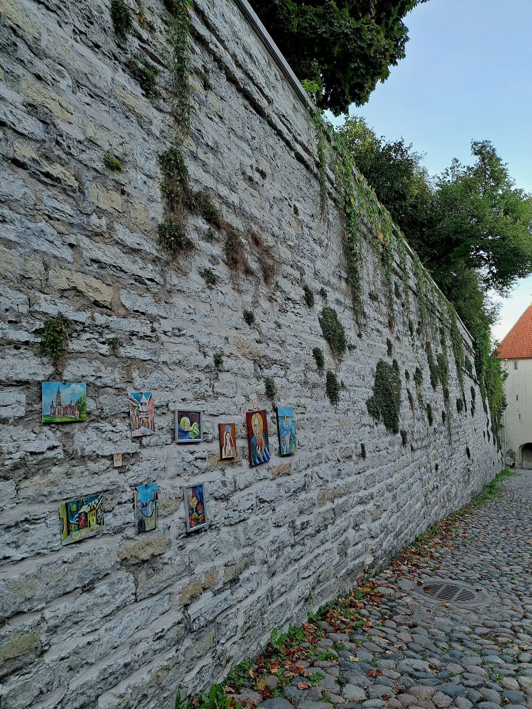 20230916_174711.jpg
