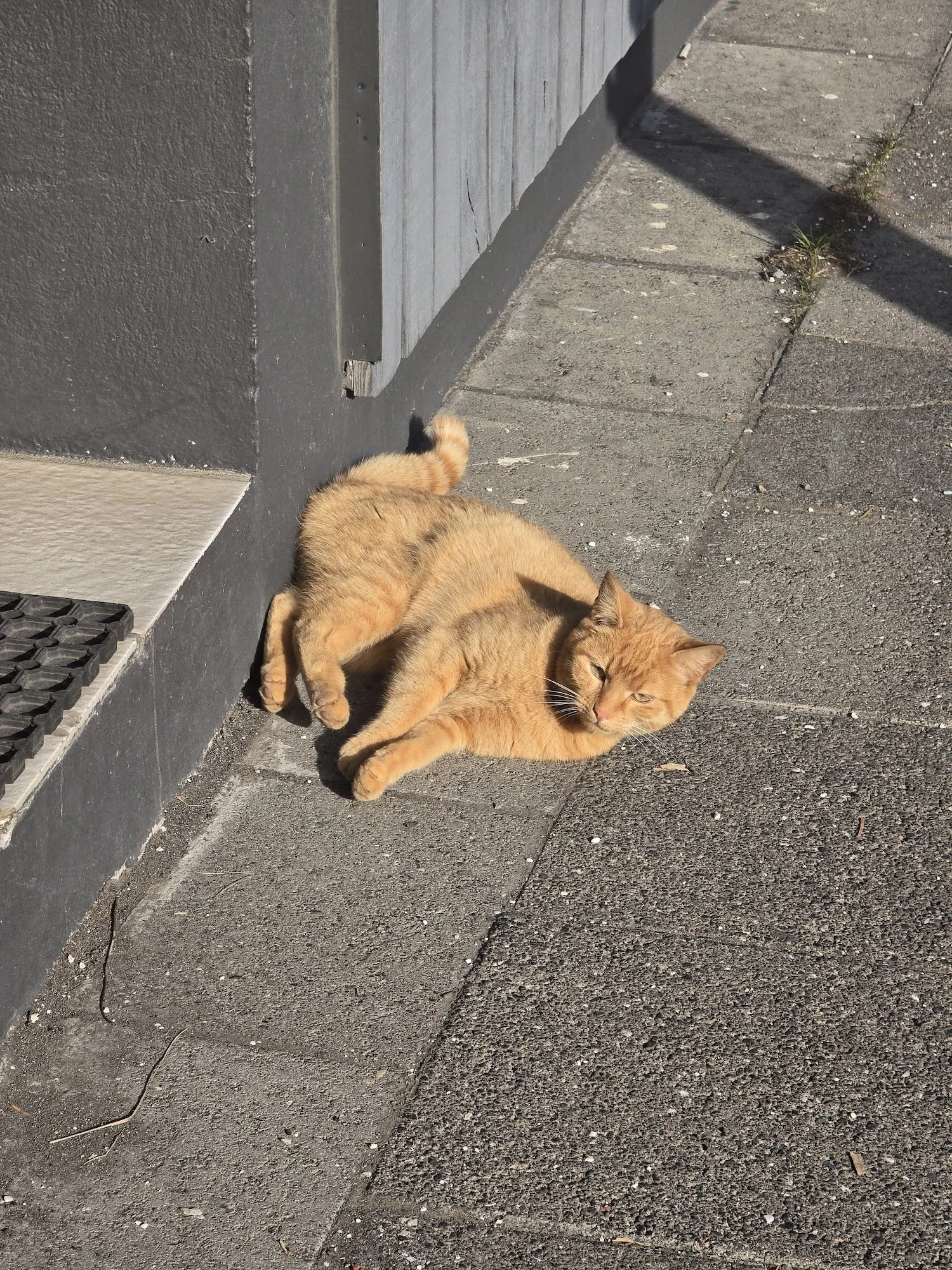 20260418_174429.jpg